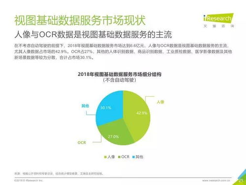 中國人工智能基礎數據服務行業報告 驅動軟件開發的未來引擎