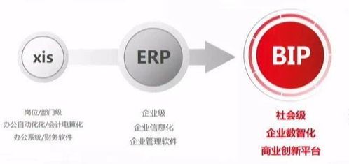 未及十年，云ERP已過時(shí) 信息服務(wù)引領(lǐng)企業(yè)數(shù)字化新浪潮